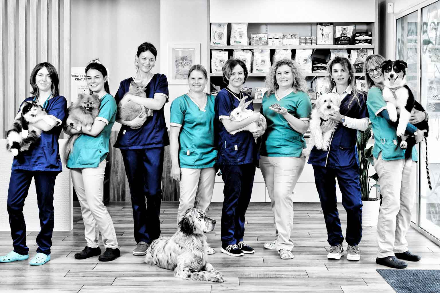 Bio'vet, un groupe dynamique et innovant. C'est avec fierté que nous, vétérinaires du groupe Bio'vet pour la clinique Bayonne, prenons le relais dès le 1 septembre 2020.
